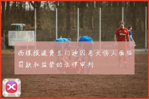 西媒报道费兰门迪因恶犬伤人面临罚款和监禁的法律审判